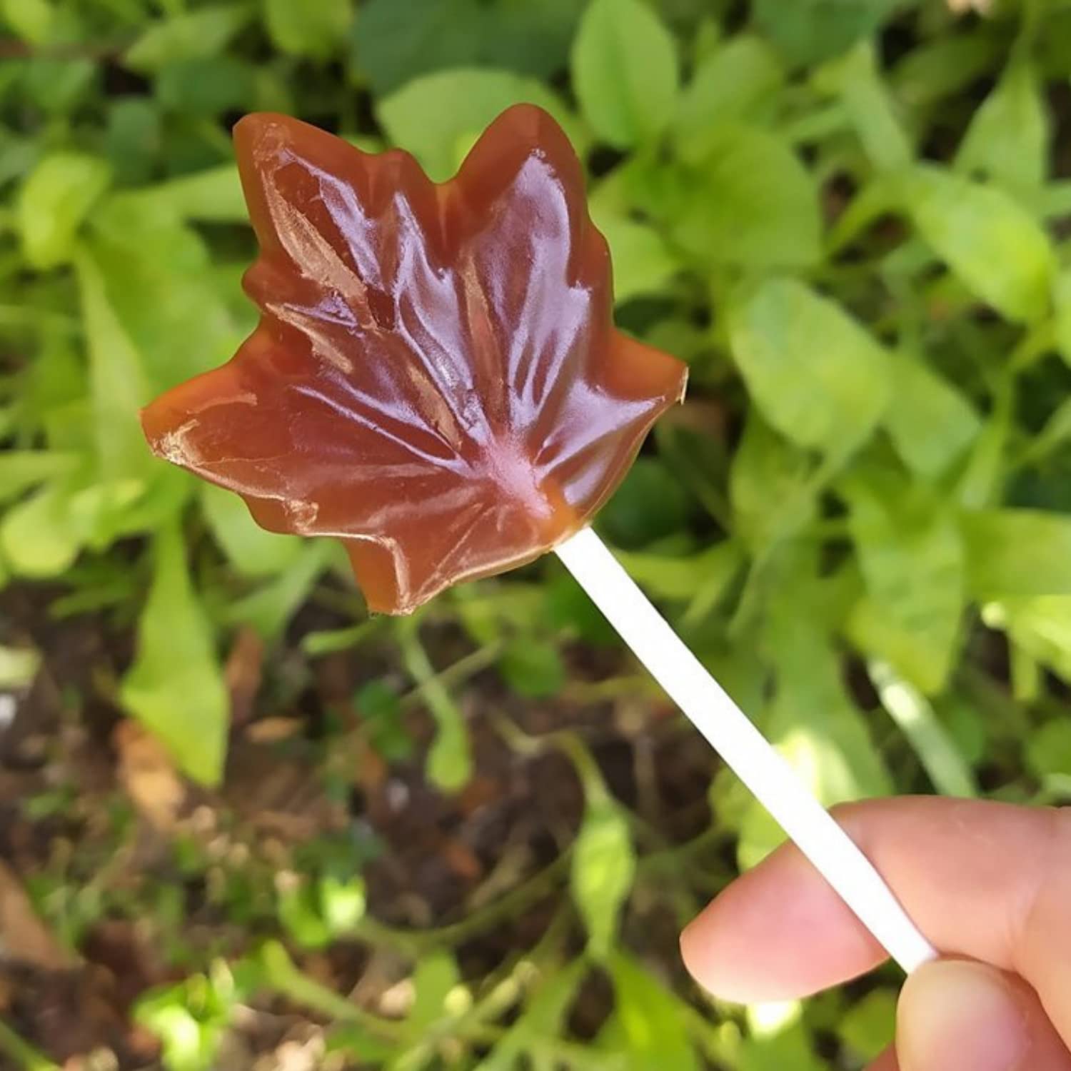 maplefarm-sp-cialit-l-rable-sucettes-feuille-d-rable-100g image 4